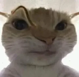 Sticker Больше стиков тут: @stikery4 - 4