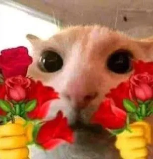 Sticker Больше стиков тут: @stikery4 - 8