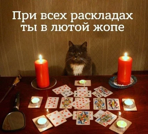 Стикер Стикеры @stickrubot @textmeru_bot - 2