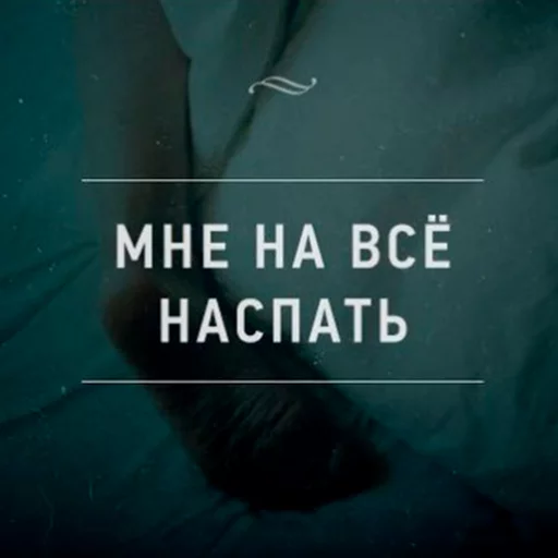 Стикер Утипутин @rruuff - 10