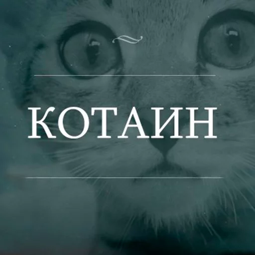 Стикер Утипутин @rruuff - 9