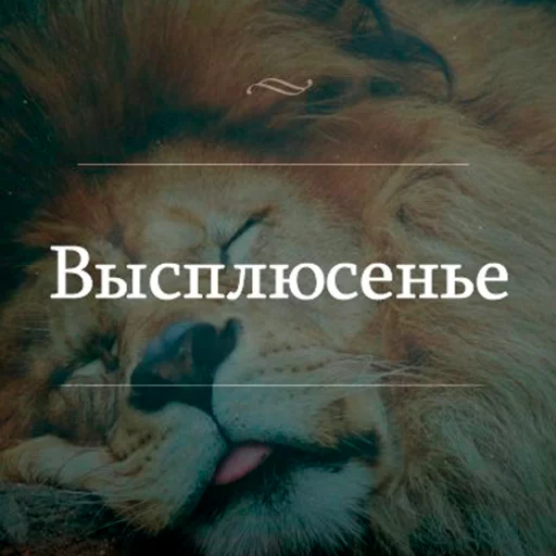 Стикер Утипутин @rruuff - 7