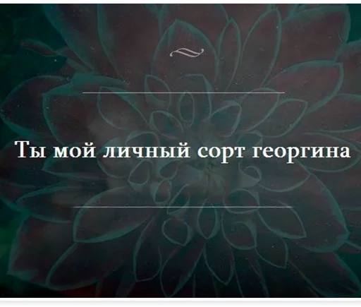 Стикер Утипутин @rruuff - 2