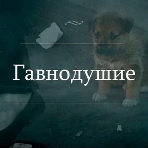 Стикер Утипутин @rruuff - 0