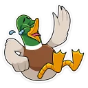 Стикер Утя :: @stickroom - 1