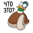 Стикер Утя :: @stickroom - 10