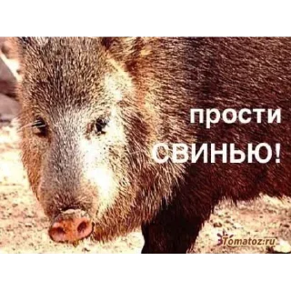 Стикер @i_love_akame - 3