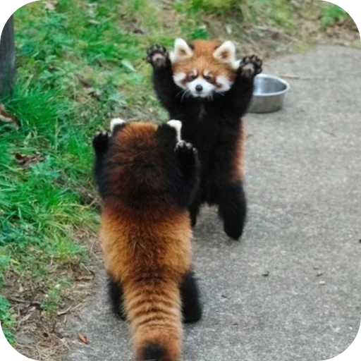 Sticker utyutyut5 - 1