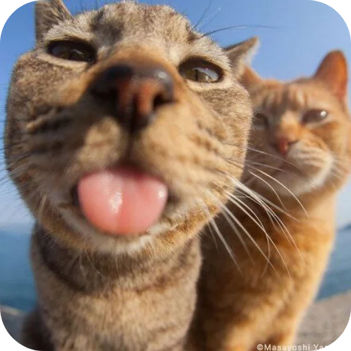 Sticker utyutyut5 - 1