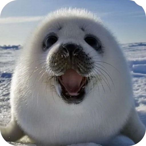 Sticker utyutyut5 - 1