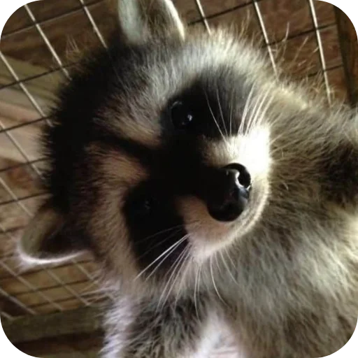 Sticker utyutyut5 - 1