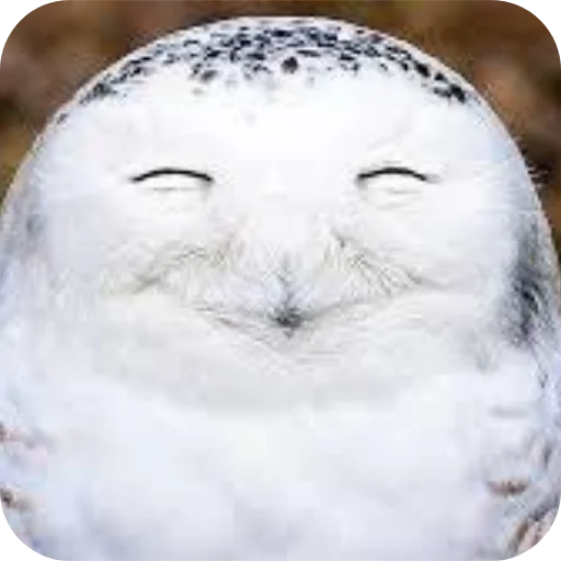 Sticker utyutyut5 - 1