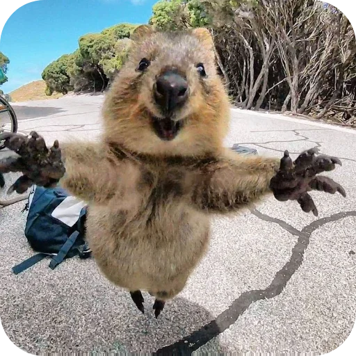 Sticker utyutyut5 - 1