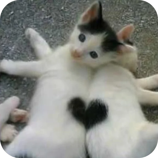 Sticker utyutyut5 - 1