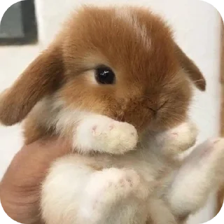 Sticker ♡милашки♡ - 5