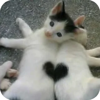 Sticker ♡милашки♡ - 3