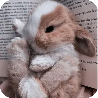 Sticker ♡милашки♡ - 4