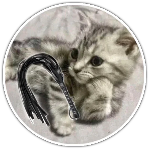 Sticker погрози! - 0