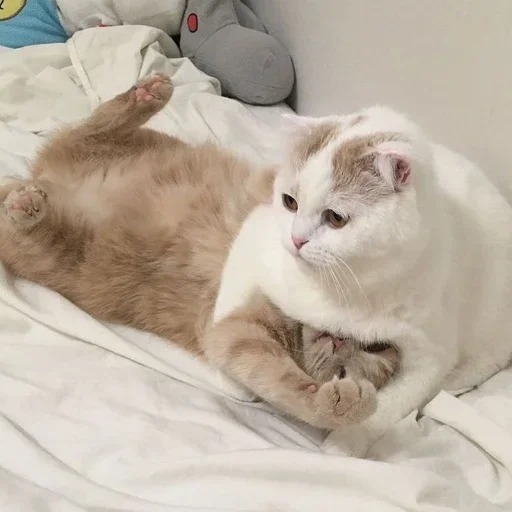 Sticker uvunQHlrALOVBpFw_by_stickers_stealer_bot - 1