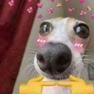 Sticker Больше стикеров 👉🏻 @stickertg4 - 9