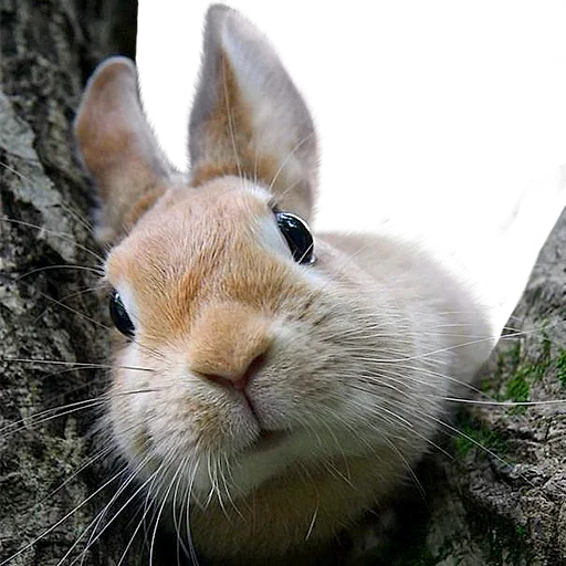 Sticker uwjBWNK_by_achestickbot - 1