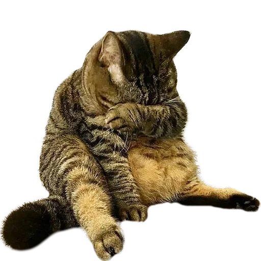 Sticker uwjBWNK_by_achestickbot - 1