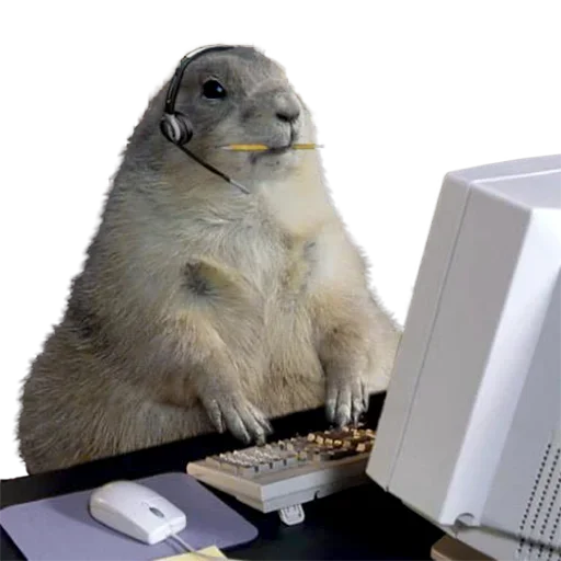 Sticker uwjBWNK_by_achestickbot - 1