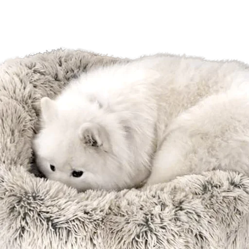 Sticker uwjBWNK_by_achestickbot - 1