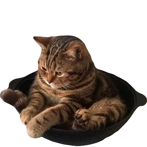 Sticker uwjBWNK_by_achestickbot - 1