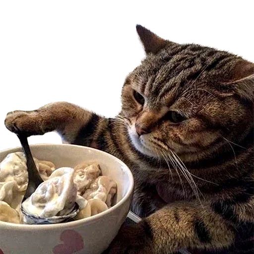 Sticker uwjBWNK_by_achestickbot - 1