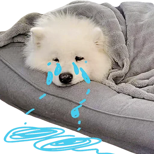 Sticker uwjBWNK_by_achestickbot - 1