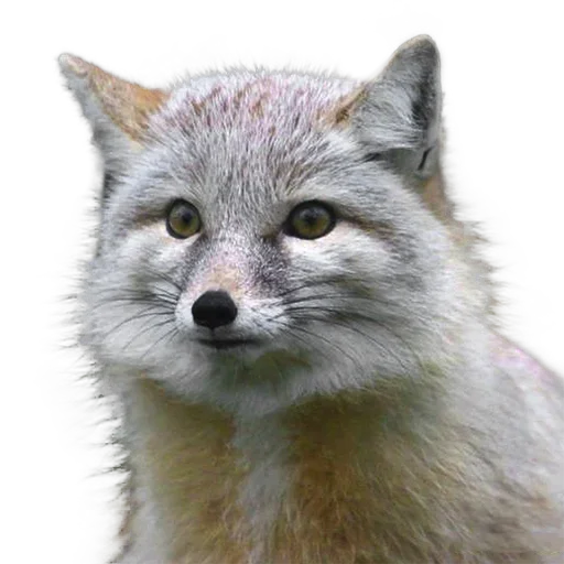 Больше стиков тут: @stikery4 - 