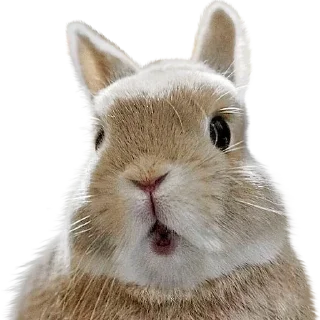 Sticker Больше стиков тут: @stikery4 - 3