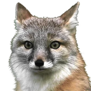 Sticker Больше стиков тут: @stikery4 - 8