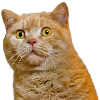 Sticker Больше стиков тут: @stikery4 - 5