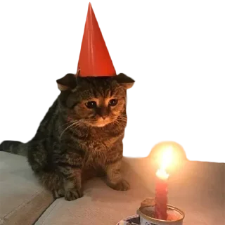 Sticker Больше стиков тут: @stikery4 - 4