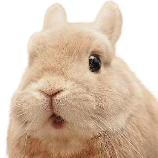 Sticker Больше стиков тут: @stikery4 - 11