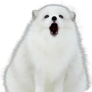 Sticker Больше стиков тут: @stikery4 - 2