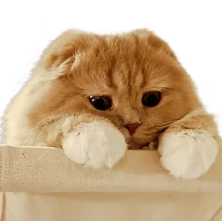 Sticker Больше стиков тут: @stikery4 - 1