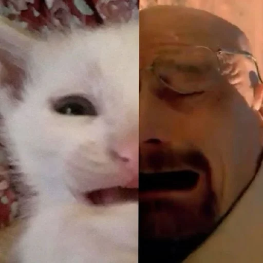 Sticker uwunyawoofmyanyanya - 1