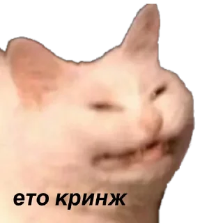 Стикер SQD Pack - 11