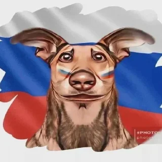 Sticker Больше стикеров: @sticerru - 6