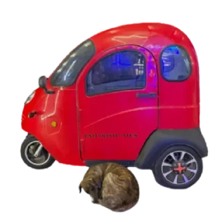 Sticker галерея by @stqrapp - 4