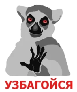 млекопитающее СМС собака