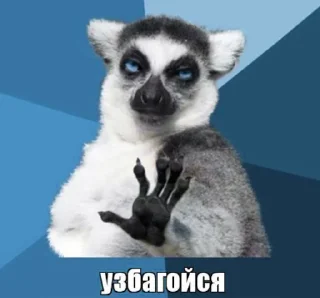 животное примат млекопитающее