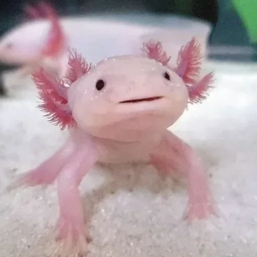 Sticker v191208851678829_by_StickerEdit_bot - 1