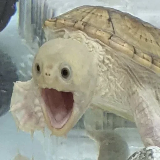 Sticker v191208851678829_by_StickerEdit_bot - 1