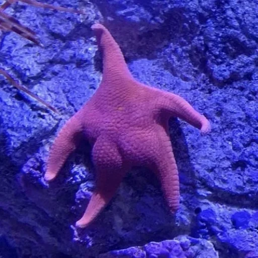 Sticker v191208851678829_by_StickerEdit_bot - 1