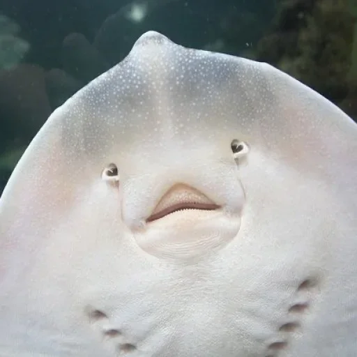 Sticker v191208851678829_by_StickerEdit_bot - 1