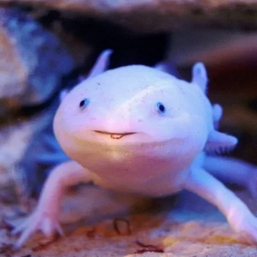 Стикер v191208851678829_by_StickerEdit_bot - 1